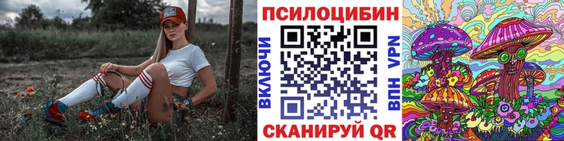 Галлюциногенные грибы Psilocybe  Касимов 
